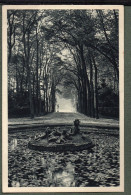 78 / VERSAILLES - Les Jardins - Bassin De Cérès - Allée De L'Été - Versailles (Castello)