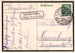 DR 1934, Landpoststpl. NIEDERREISSEN über Apolda Auf 6 Pf. Ganzsache - Brieven En Documenten