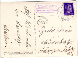 DR 1943, Landpoststpl. OBERHAUSEN Neu-Ulm (Donau) Auf Karte M. 6 Pf. - Cartas & Documentos