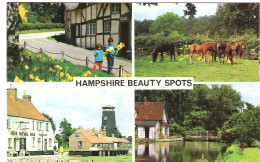 SCENES FROM  HAMPSHIRE, ENGLAND. UNUSED POSTCARD My3 - Otros & Sin Clasificación