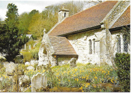 THE OLD CHURCH, BONCHURCH, ISLE OF WIGHT, ENGLAND. UNUSED POSTCARD   My3 - Kirchen Und Klöster