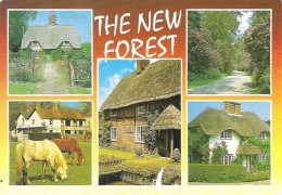 SCENES FROM THE NEW FOREST, HAMPSHIRE, ENGLAND. USED POSTCARD My3 - Otros & Sin Clasificación