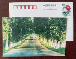 Bicycle Cycling,bike,truck,China 2000 Xinjiang The Country Road Advertising Pre-stamped Card - Cycling