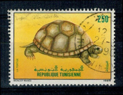 TORTUE / REPUBLIQUE TUNISIENNE / CACHET ROND #234# - Schildkröten