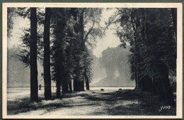 78 / VERSAILLES - Les Jardins - L'Allée Royale - Versailles (Castello)