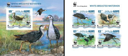 Maldives 2013, Animals, WWF, Birds, 4val In BF +BF IMPERFORATED - Albatros & Stormvogels