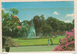 8AK3988 HO CHI MINH CITY THE FLOWER GARDEN IN THE UNIFICATION PALACE 2 SCANS - Vietnam