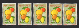 MAROC N°  509   CINQ EXEMPLAIRES    NEUF SANS CHARNIERE  COTE 4.00€   AGRICULTURE - Morocco (1956-...)