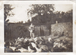 Altes Foto Vintage.   Frau Beim Hühner Füttern. (  B11  ) - Anonyme Personen