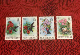 MONTSERRAT 1983 4v Neuf MNH ** Mi 507 / 510 Pájaro Bird Pássaro Vogel Ucello Oiseau - Colibríes