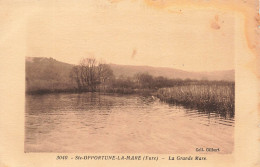 FRANCE - Ste Opportune La Mare - Vue Sur La Grande Mare - Carte Postale Ancienne - Otros & Sin Clasificación