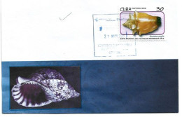 Timbre Coquillage : "Conque Combattante Des Antilles" Sur Lettre Cienfuegos (Cuba) - Conchas