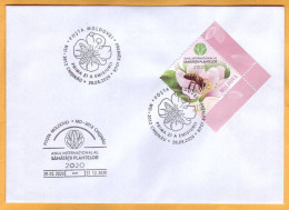 2020 Moldova Moldavie Private FDC UNO: 2020 - International Year Of Plant Health, Insectes , Flowers , Bees - Moldawien (Moldau)