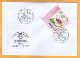 2020 Moldova Moldavie Private FDC UNO: 2020 - International Year Of Plant Health, Insectes , Flowers , Bees - Honingbijen