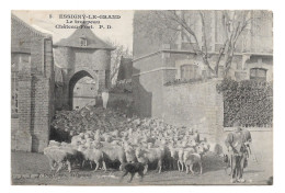 ESSIGNY LE GRAND - Le Troupeau Château Fort - Sonstige & Ohne Zuordnung