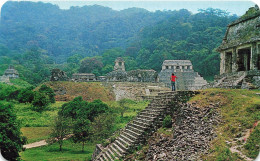 MEXIQUE - Palenque As Seen From The "Count's" Temple - Palenque Chis México - Animé - Carte Postale - Mexiko