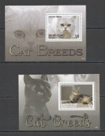 B1496 2013 Union Island Fauna Pets Cats Cat Breeds 2Bl Mnh - Gatti