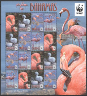 Ft194 2012 Bahamas Wwf Caribbean Flamingo Fauna Birds #1447-50 1Sh Mnh - Altri & Non Classificati