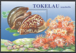 Ft185 1996 Tokelau Seashells Shells Fauna Fish & Marine Life Bl9 Mnh - Marine Life