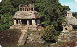 MEXIQUE - Temple Of The Sun - At The Palenque Ruins - Palenque Chis México - Animé - Carte Postale - Mexico