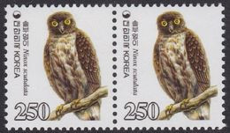 South Korea KPC449 Bird, Brown Hawk Owl, Ninox Scutulata, Natural Monument, Oiseau, Hibou, Chouette, Pair - Eulenvögel