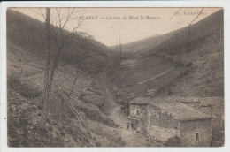 BLANOT - SAONE ET LOIRE - CHEMIN DU MONT SAINT ROMAIN - Altri & Non Classificati