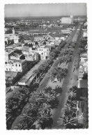 CASABLANCA - RARE  - Avenue Du 4e Zouaves - Edit. Jansol - N° 13 - Circulé En 1953 - - Casablanca