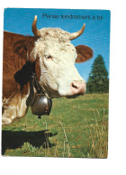 Vache, Avec Une Cloche Au Cou / Cow, Bell / Pense Tendrement à Toi - Au Pâturage - 1971 - Cows