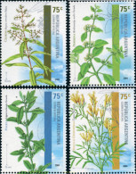 171624 MNH ARGENTINA 2004 PLANTAS AROMATICAS - Neufs