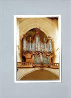 Saintes (17) : La Cathedrale Saint Pierre - L'orgue - Saintes