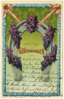 AK Prägekarte Neujahr Hufeisen Blumen 1905 Prägedruck   (2757 - Nieuwjaar