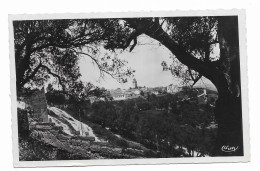 TAZA (Maroc) Vu à Travers Les Oliviers - Edit. Combier - Non Circulé Mais écrite En 1947 - - Sonstige & Ohne Zuordnung