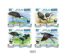 Maldives 2013, Animals, WWF, Birds, 4val In BF IMPERFORATED - Maldives (1965-...)