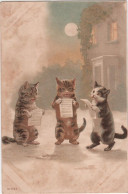 3 Chats Humanisé- Dressed Cats -katzen- Poezen Zingen - Chats