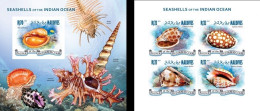 Maldives 2013, Animals, Shells, 4val In BF +BF IMPERFORATED - Schelpen