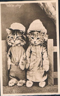 Chats Humanisé-dressed Cats -katzen -2 Poezen Met Muts - Gekleidete Tiere
