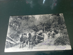 B1/260- Voiture De Tronces En Forêt - Other & Unclassified