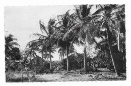 SENEGAL - Cases Sous Les Cocotiers - Edit. Carnaud - Circulé En 1958 - - Sénégal