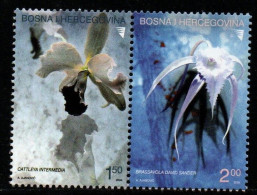 Bosnien Herzegowina 2004 - Mi.Nr. 340 - 341 - Postfrisch MNH - Blumen Flowers Orchideen Orchids - Orchidées