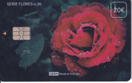 ISN-382 TARJETA DE ISERN DE LA SERIE FLORES Nº36 (FLOR-FLOWER-ROSA) - Fleurs