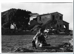 C6301/ Francoise Hardy  Pressefoto Foto 28,5 X 20 Cm 1967 - Altri & Non Classificati