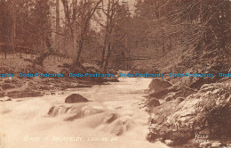 R042220 Birks O Aberfeldy Looking Up. Vello. 1908 - Welt