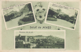 Sicilia   -   Catania   -   Mineo  -   Saluti Da Mineo  -  3 Vedute   -  F. Piccolo  -  Nuova   -  Molto Bella - Autres & Non Classés