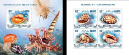 Maldives 2013, Animals, Shells, 4val In BF +BF - Coneshells