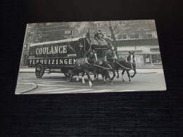 75513-         AMSTERDAM, COULANCE VERHUIZINGEN -  HORSE / HORSES / PFERDE / CAVALLI / CHEVAUX / CABALLOS - Paarden