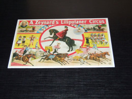 75517-           A. ZEYNARDI'S LILIPUTANER CIRCUS - HORSE / HORSES / PFERDE / CAVALLI / CHEVAUX / CABALLOS - Horses