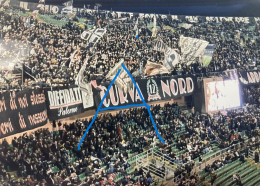 Palermo Venezia Campionato Serie B 2024/25 Ultras Curva Nord Football Supporters - Deportes