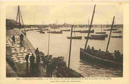 29 - Camaret Sur Mer - Retour De Peche - Pecheurs - Animée - Bateaux - CPA - Voir Scans Recto-Verso - Camaret-sur-Mer