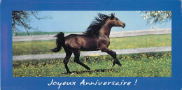 Format Spécial - 230 X 120 Mms - Animaux - Chevaux - Carte Anniversaire - Etat Léger Pli Visible - Frais Spécifique En R - Horses