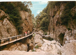 66 - Amélie Les Bains - Les Gorges Du Mondony - CPM - Voir Scans Recto-Verso - Sonstige & Ohne Zuordnung